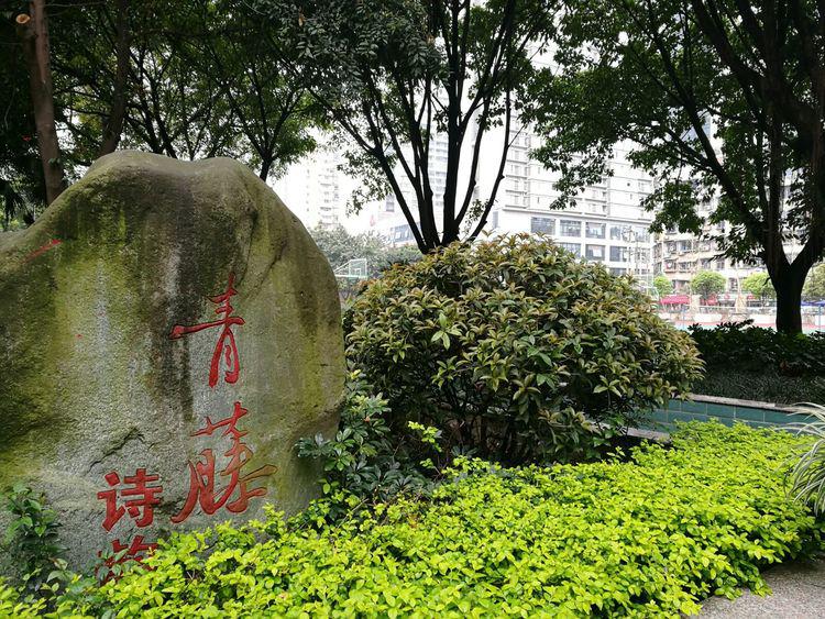 参访学校16.jpg