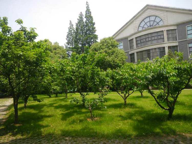 3学校印象4.jpg