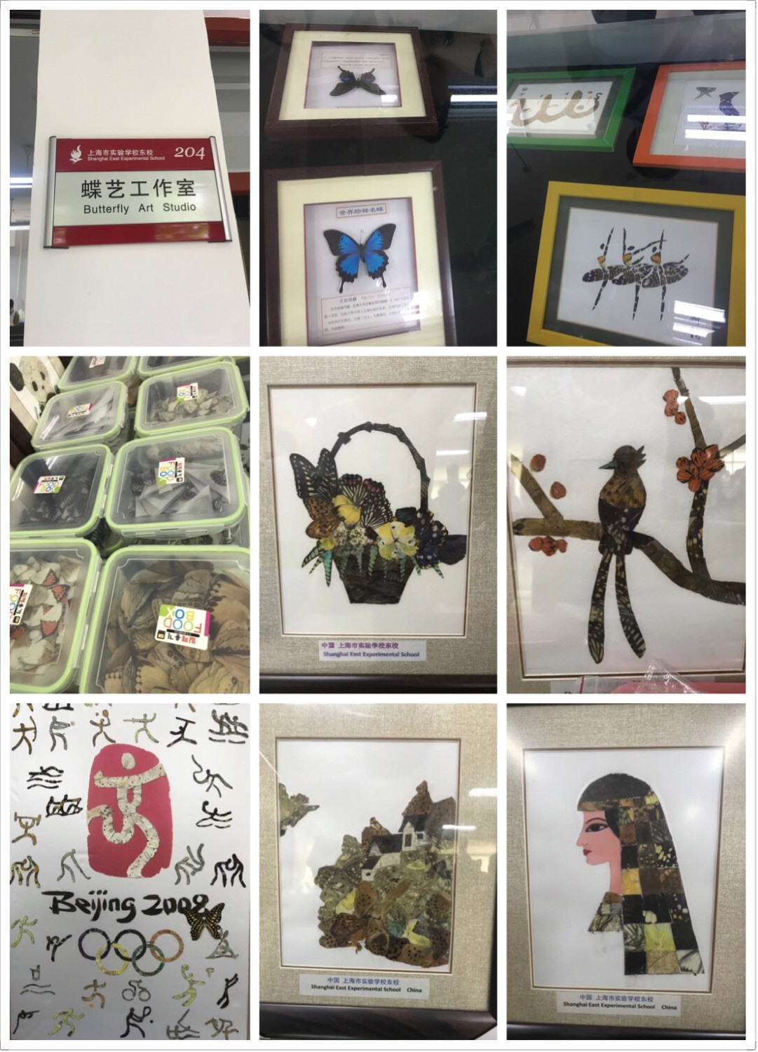 5学校考察10.jpg