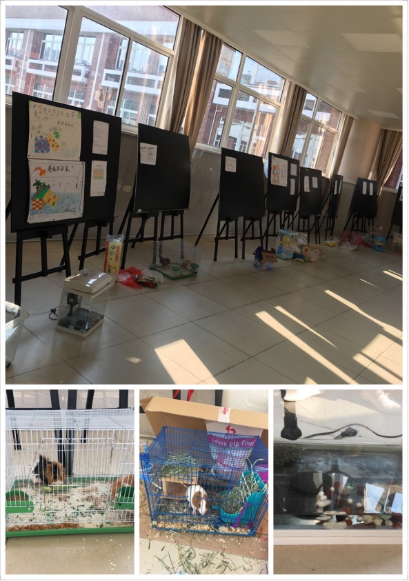 5学校考察19.jpg